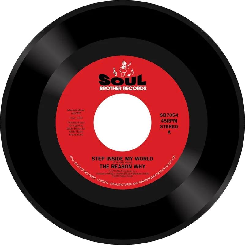 The Reason Why - Step Inside My World Vinyl 7"
