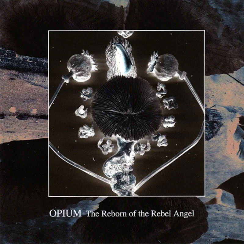 The Reborn Of The Rebel Angel