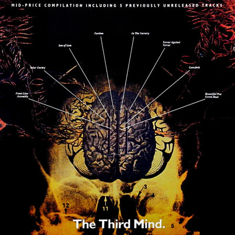 The Third Mind