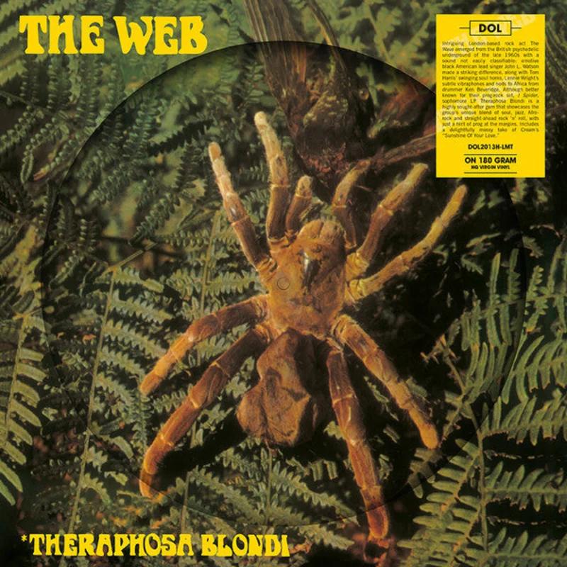Theraphosa Blondi