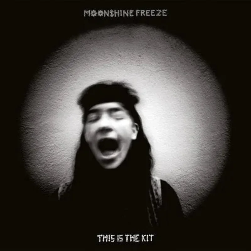 This Is the Kit - Moonshine Freeze - Vinyl Record LP