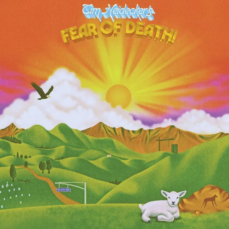 Tim Heidecker - Fear of Death - Vinyl Record