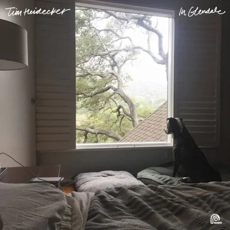 Tim Heidecker - In Glendale - Vinyl Record LP
