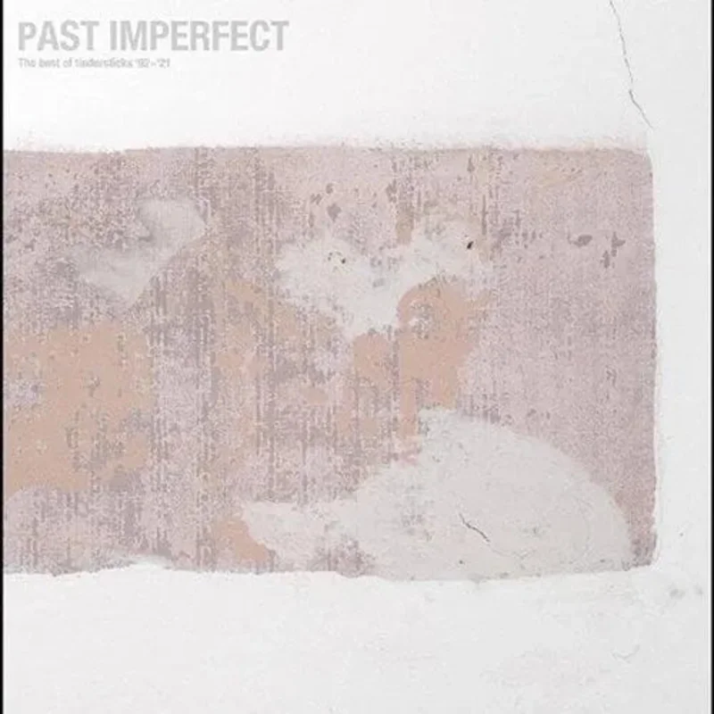 Tindersticks - Past Imperfect: The Best of Tindersticks 92 - 21 - Vinyl Record 2LP