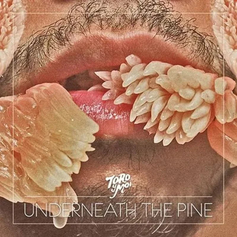 Toro Y Moi - Underneath The Pine - Vinyl Record