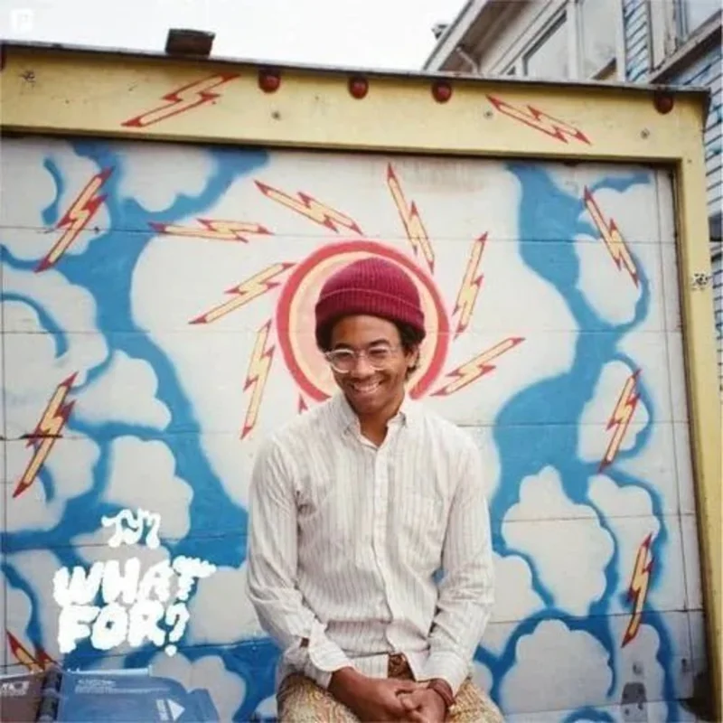 Toro Y Moi - What For? Vinyl Record