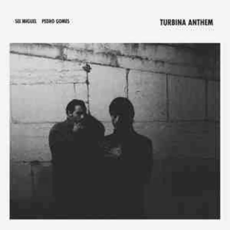 Turbina Anthem