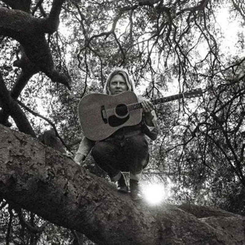 Ty Segall - Hello, Hi - Vinyl Record LP