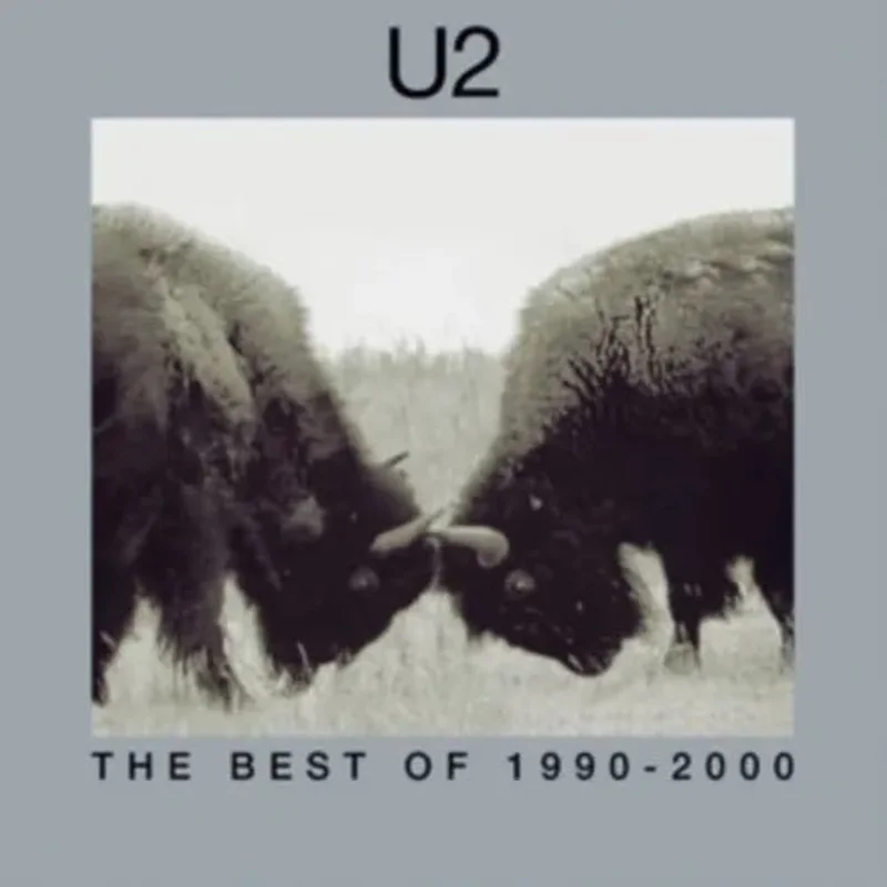 U2 - The Best Of 1990-2000 - Vinyl Record 2LP