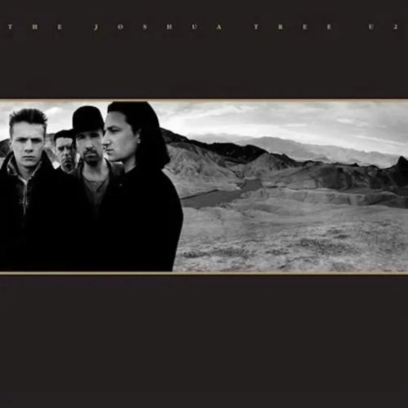 U2 - The Joshua Tree: 30th Anniversary - Vinyl Record *