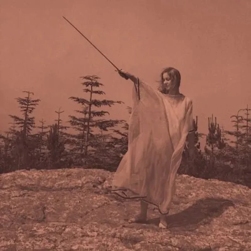 Unknown Mortal Orchestra - II (10 Year Anniversary Reissue) - Aluminum Color Vinyl