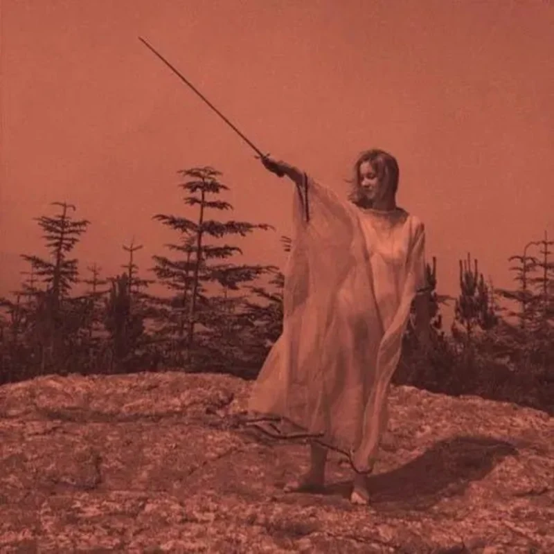 Unknown Mortal Orchestra - II Vinyl Record