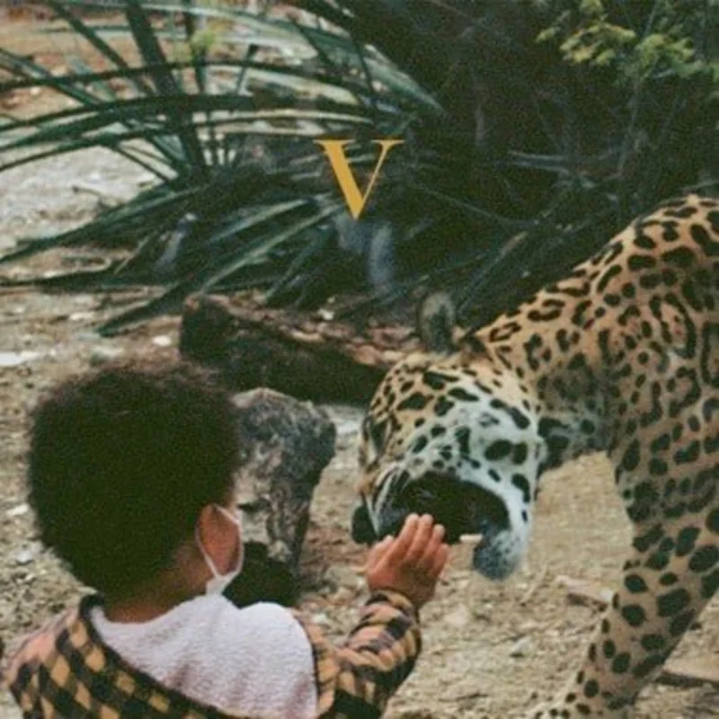 Unknown Mortal Orchestra - V (Legendary Edition) (Gold Color) Vinyl LP