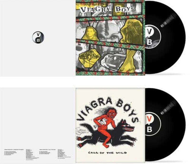 V* Boys - Consistency of Energy / Call of the Wild Vinyl LP