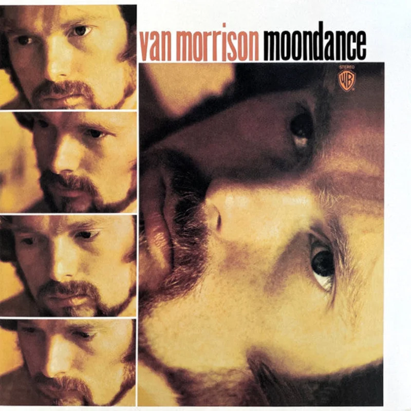 Van Morrison - Moondance (Arrives in 21 Days)