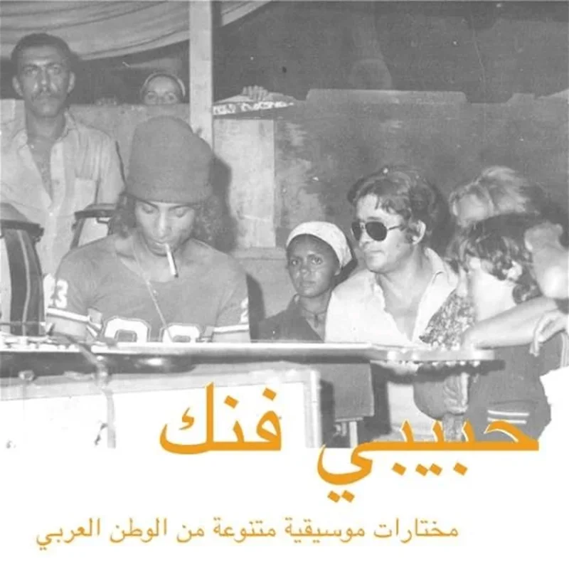 Various Artists - Habibi Funk: An Eclectic Selection from the Arab World Vinyl LP