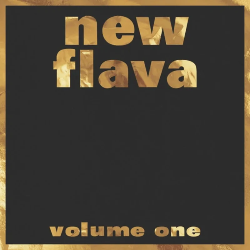 Various Artists - New Flava Vol. 1.