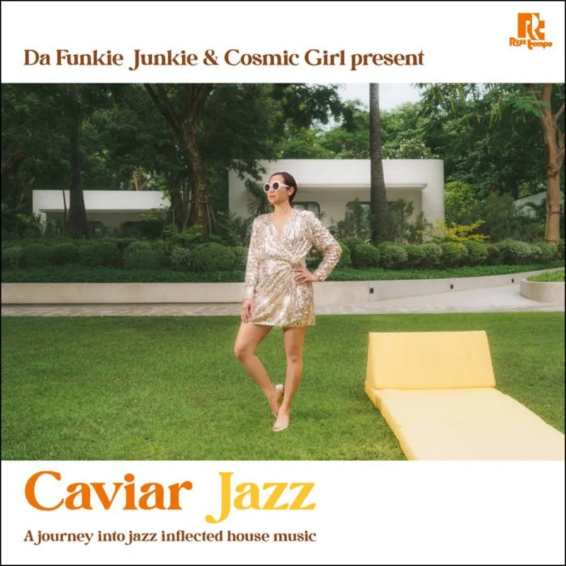Various - Caviar Jazz: A Journey Into Jazz Inflected House Music Vinyl LP