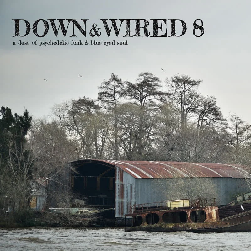 Various - Down & Wired Vol. 8 Vinyl LP