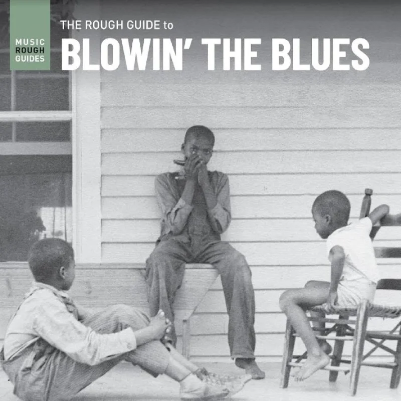 Various - Rough Guide to Blowin' the Blues Vinyl LP
