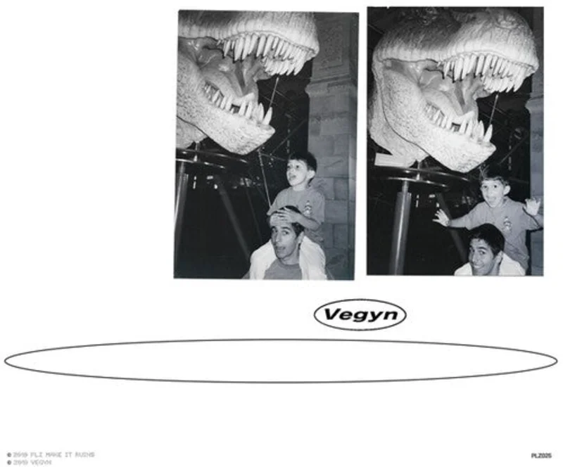 Vegyn - Only Diamonds Cut Diamonds (5 Year Anniversary) Vinyl LP