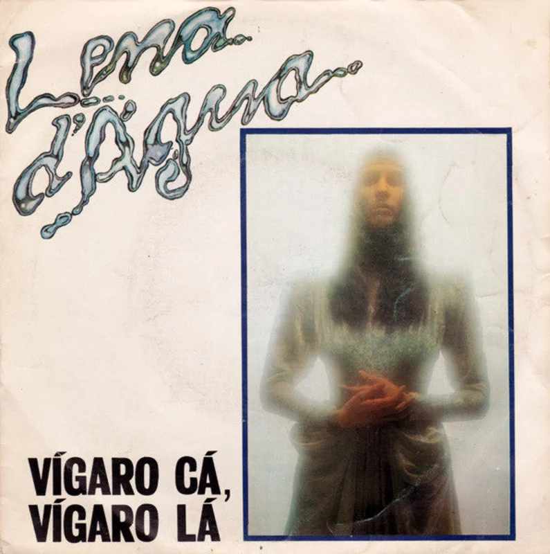 Vgaro C, Vgaro L