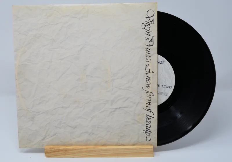 Virgin Prunes  A New Form Of Beauty 2