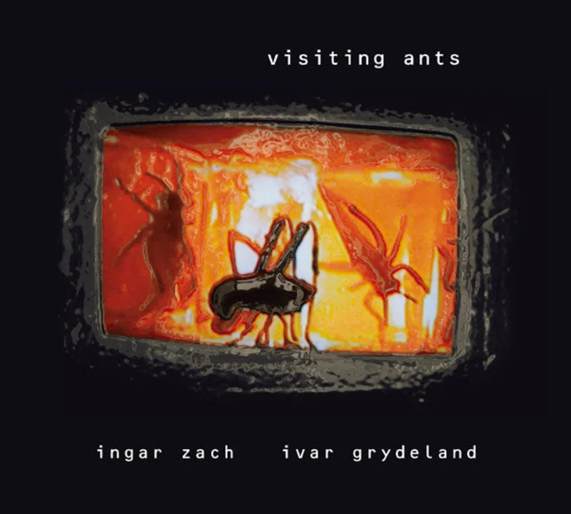 Visiting Ants