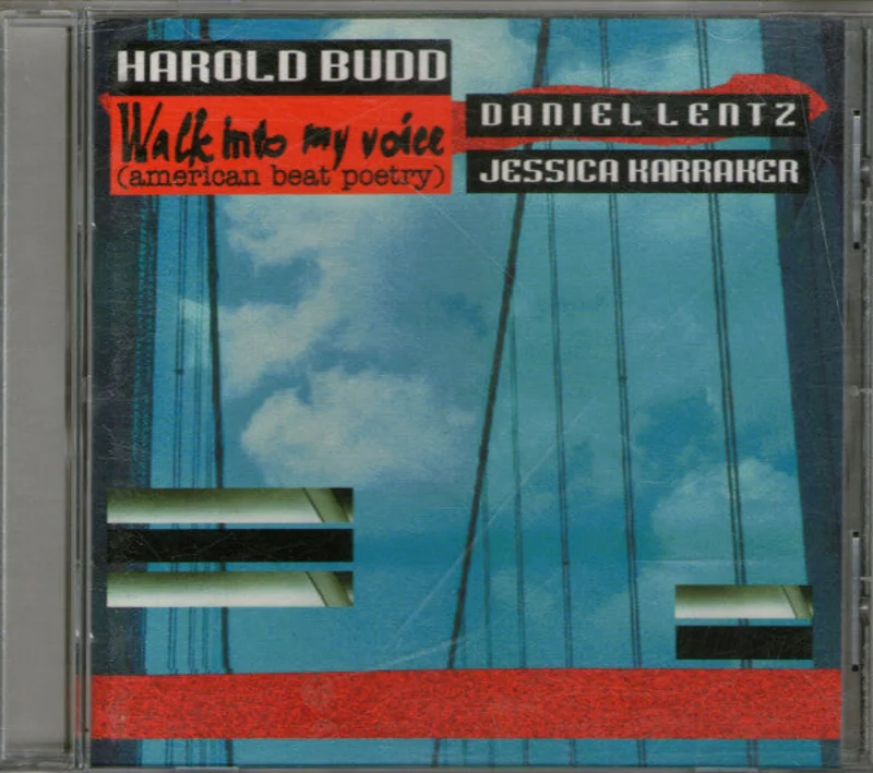 Walk Into My Voice (American Beat Poetry)