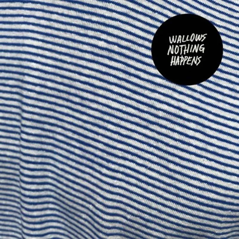 Wallows - Nothing Happens - Vinyl Record *