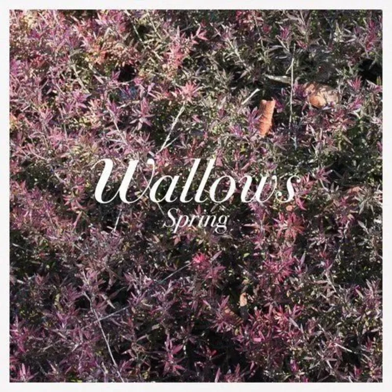 Wallows - Spring - Pink & Green Color Vinyl Record LP *