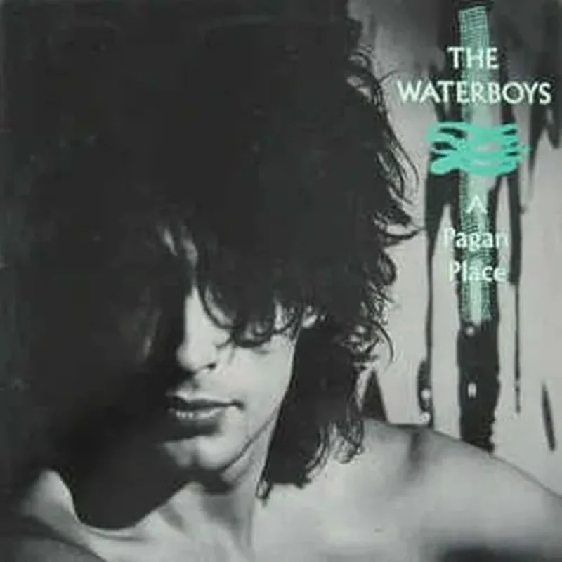 Waterboys - A Pagan Place Vinyl Record (2002 Digital Remaster 180g)