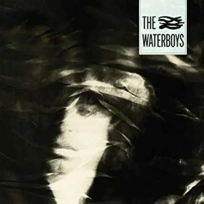 Waterboys - The Waterboys Vinyl Record (2002 Digital Remaster 180g Vinyl)
