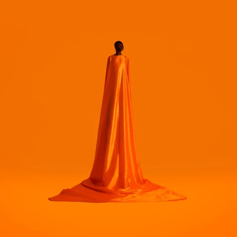 Wayne Snow - Figurine Vinyl LP