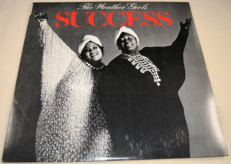 Weather Girls - Succes
