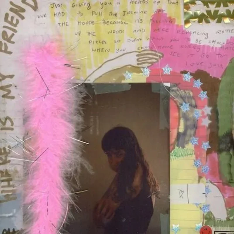Wednesday - I Was Trying to Describe You to Someone - Vinyl Record