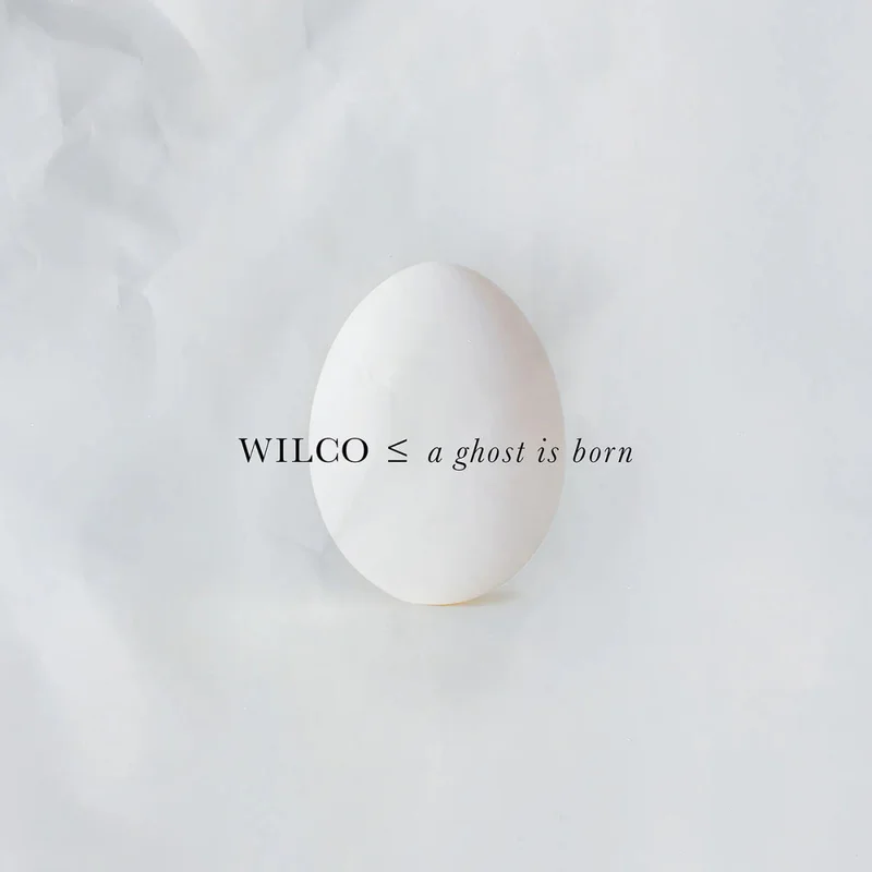 Wilco - A Ghost Is Born - 2LP Vinyl Record