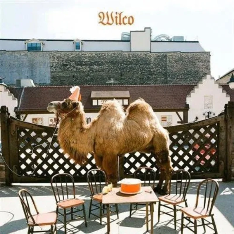 Wilco- Wilco - Vinyl Record 180g *