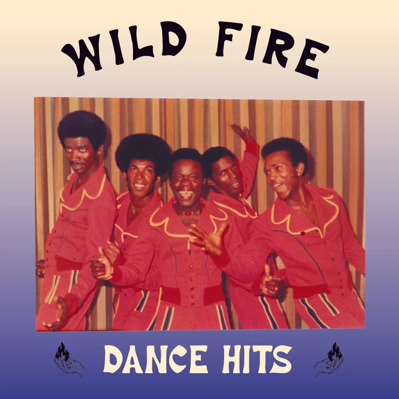Wild Fire - Dance Hits Vinyl LP