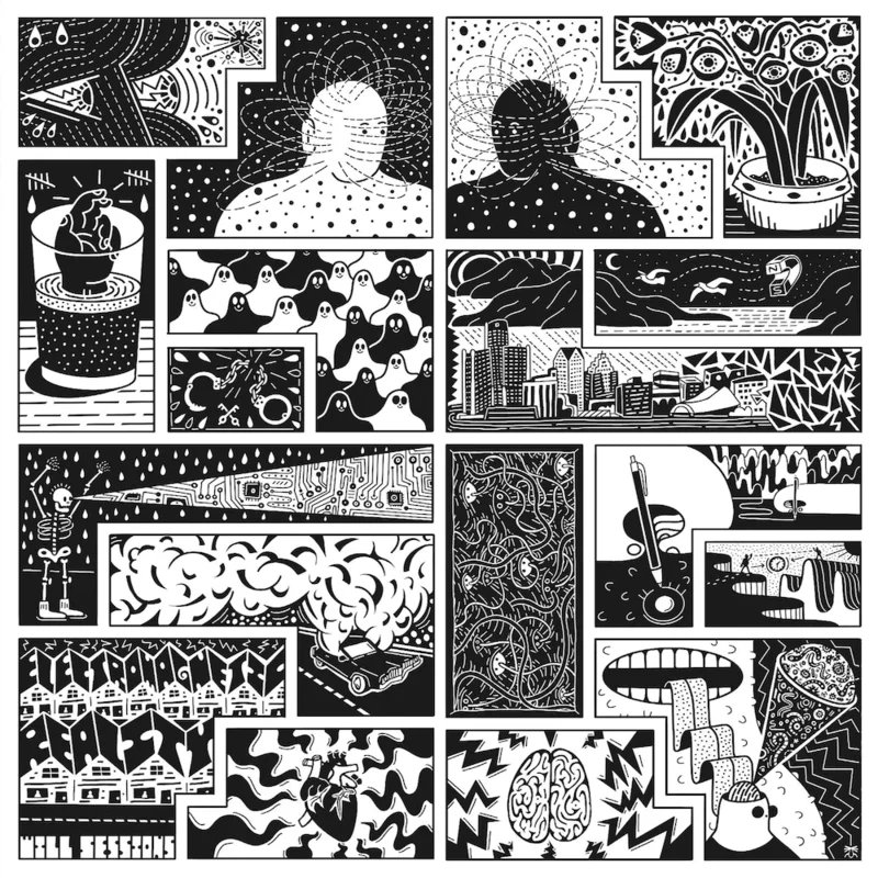 Will Sessions - Electromagnetic Reality Vinyl LP