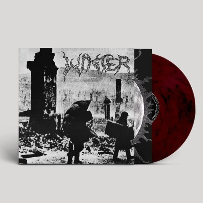 Winter - Into Darkness (Trans Violet/Black Marble)