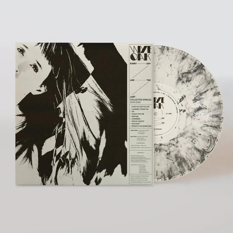 Wye Oak - Every Day Like The Last: Collected Singles 20192023 - Color Vinyl