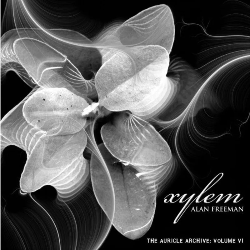 Xylem