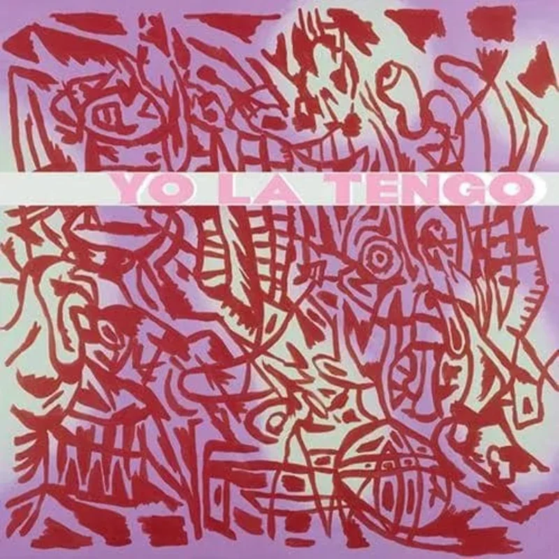 Yo La Tengo - I Am Not Afraid of You and I Will Beat Your Ass - Vinyl Record 2LP