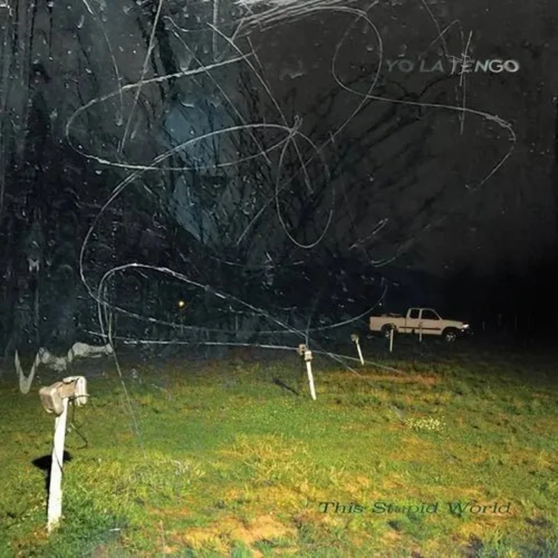 Yo La Tengo - This Stupid World - Vinyl Record 2LP